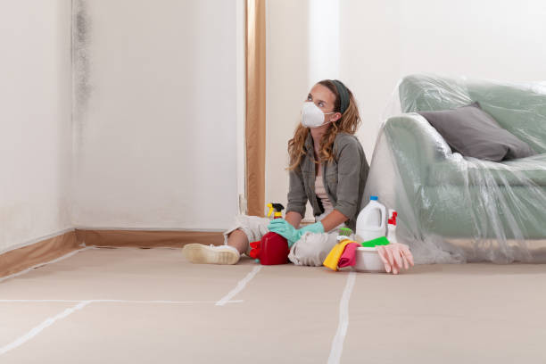 Reliable Mold Remediation contractor in Lincoln, IL by WQB Mold Removal